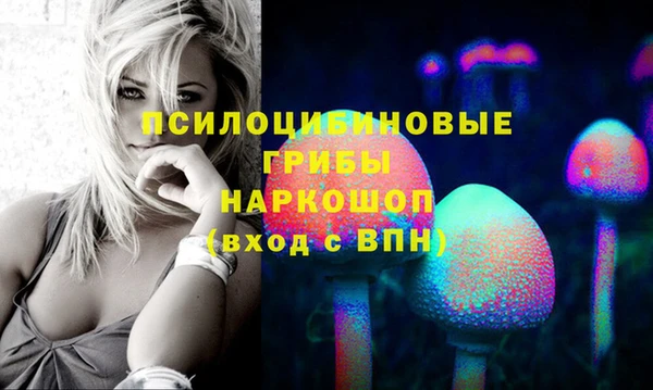 apvp Вязьма