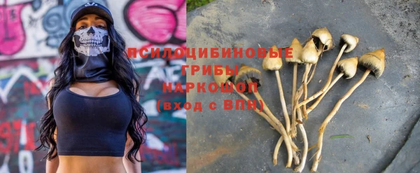 apvp Вязьма